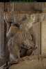 Arles-cloisters-IMG_0392.JPG