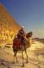 126-Pyramid-andcamel-sc.jpg