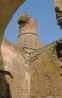 stork-065.jpg