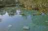 Pamukkale-13-4032.jpg